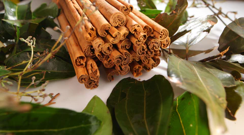 Black ceylon cinnamon