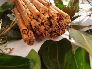 Cinnamon roll (alba)