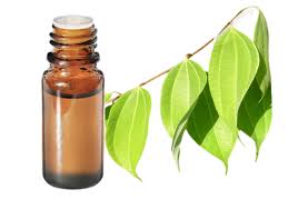 Cinnamon Leaf Essential Oil